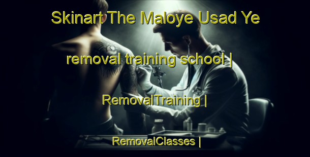 Skinart The Maloye Usad Ye removal training school | RemovalTraining | RemovalClasses | SkinartTraining-Russian Federation